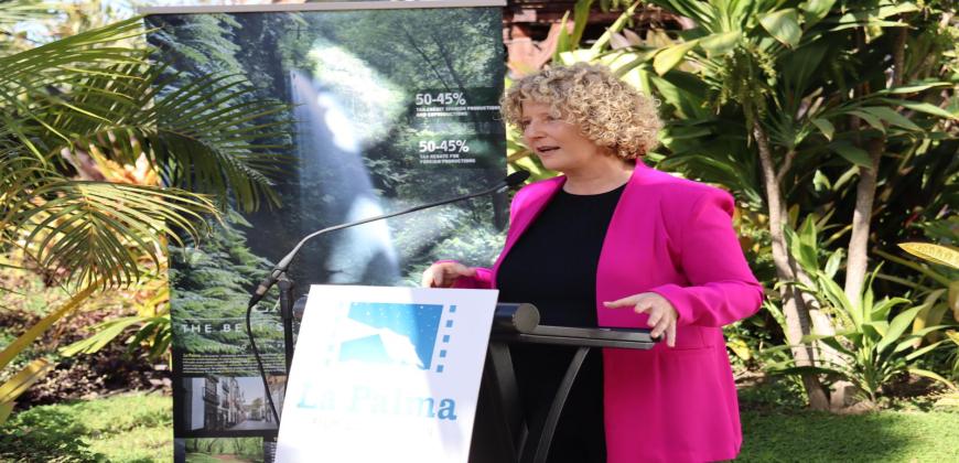 El Cabildo destina 10 millones de euros para empresas afectadas por el volcán 