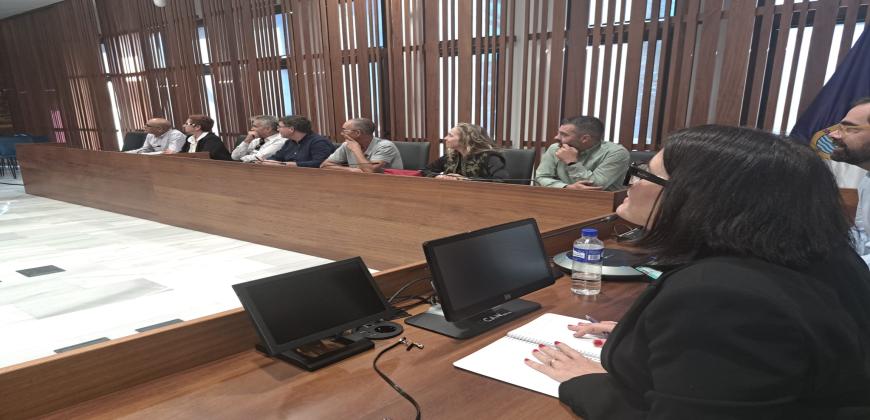 El Cabildo avanza en un protocolo de actuación para atender a los turistas en el caso del cierre de aeropuerto o puerto