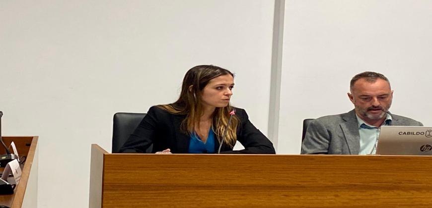 El Cabildo trabaja por el sector comercial insular atendiendo a la situación especial del Valle 