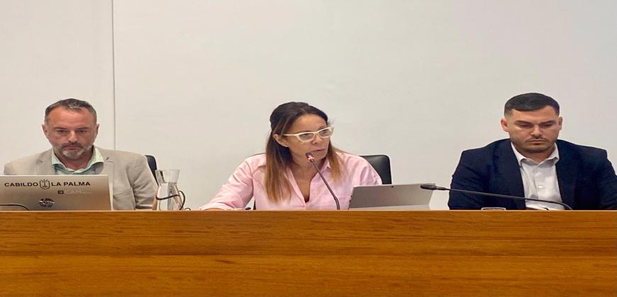 El Cabildo insta a la consejería regional de Educación a potenciar la figura de los psicólogos zonales en los centros educativos de la Isla