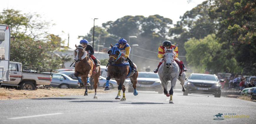 La Palma Ecuestre inicia su octava edición con el consenso de Cabildo, cuadras y jinetes en la promoción de las carreras de caballos en la Isla