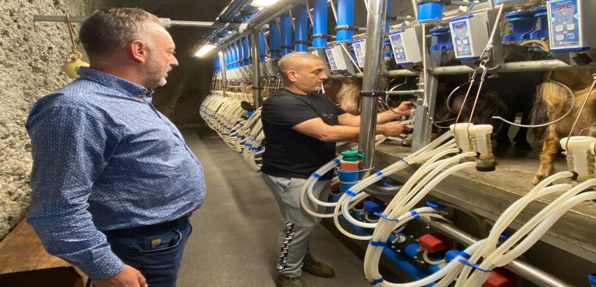 El Cabildo apuesta por el fomento de la soberanía alimentaria y las razas palmeras 