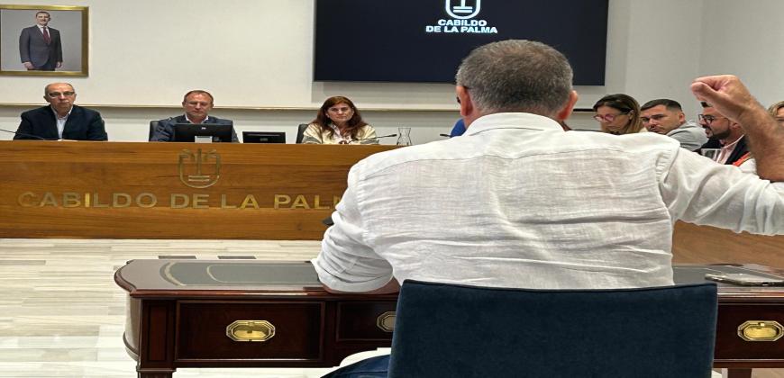 El Cabildo contribuirá a dotar de personal de apoyo a las Aulas en Clave de la Isla 