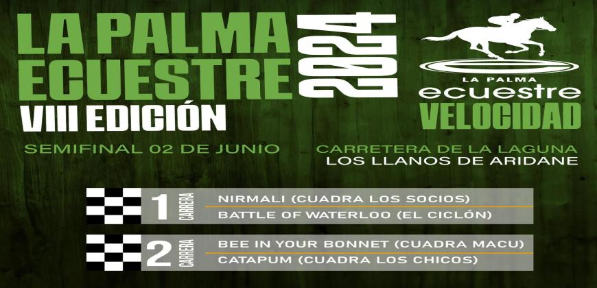 El Cabildo ultima los detalles de las semifinales de la VIII edición de La Palma Ecuestre