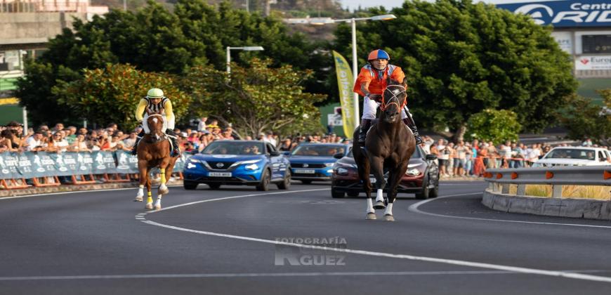 Battle of Waterloo y Aitana Ciel se proclaman ganadores de la octava edición de La Palma Ecuestre