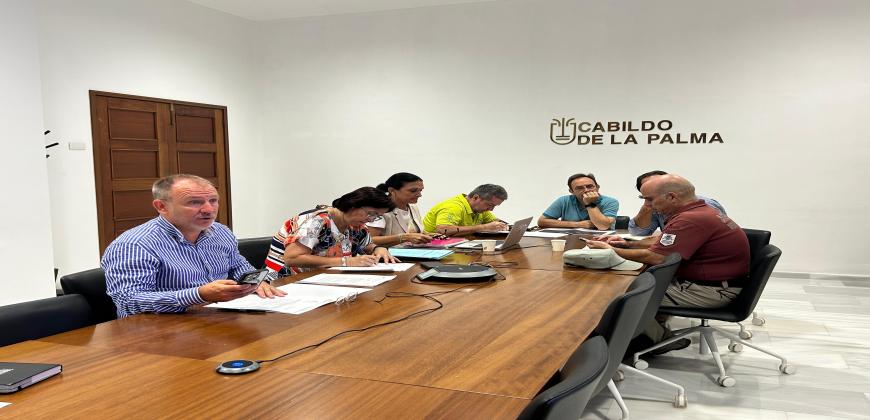 El Cabildo aprueba varias líneas de ayuda destinadas a las personas afectadas por el volcán Tajogaite