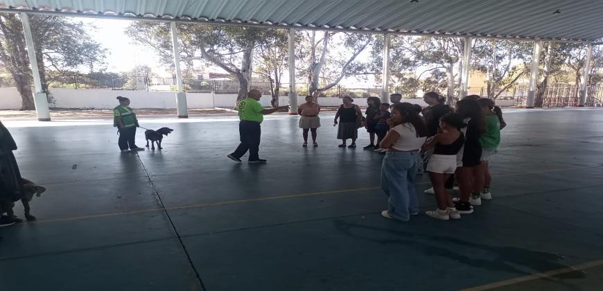 El Cabildo organiza una jornada de voluntariado y grupos de emergencias en el IES Eusebio Barreto