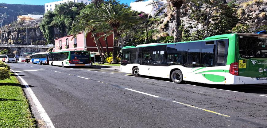 El Cabildo recupera el servicio especial de transporte público con motivo de la Danza de los Enanos