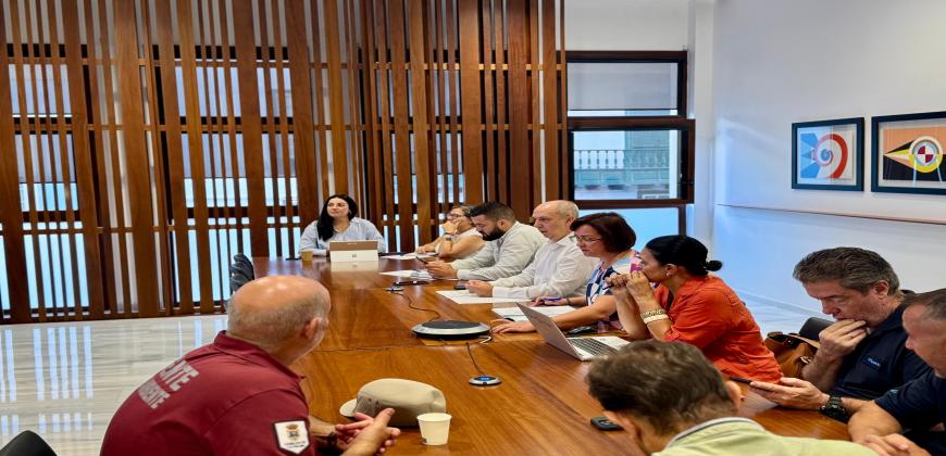 El Cabildo autoriza el acceso a una nueva vivienda y un local en Puerto Naos