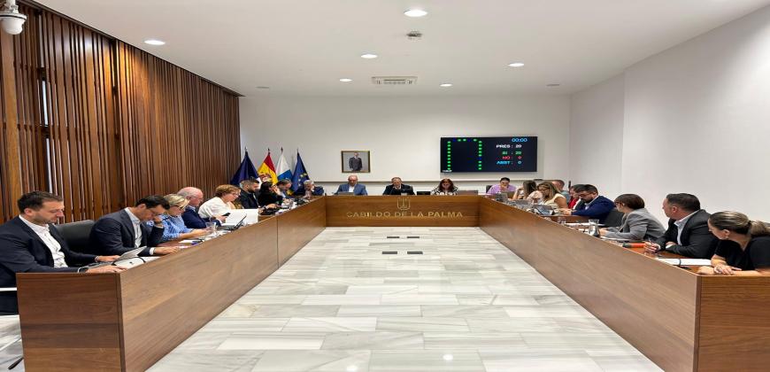 Aprobación de la moción de apoyo a pacientes afectados por COVID persistente.