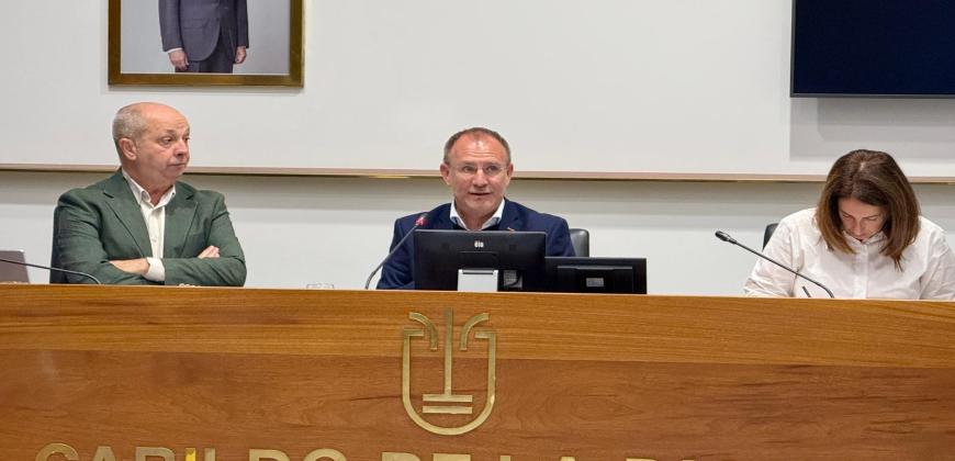 Pleno del Cabildo de La Palma.