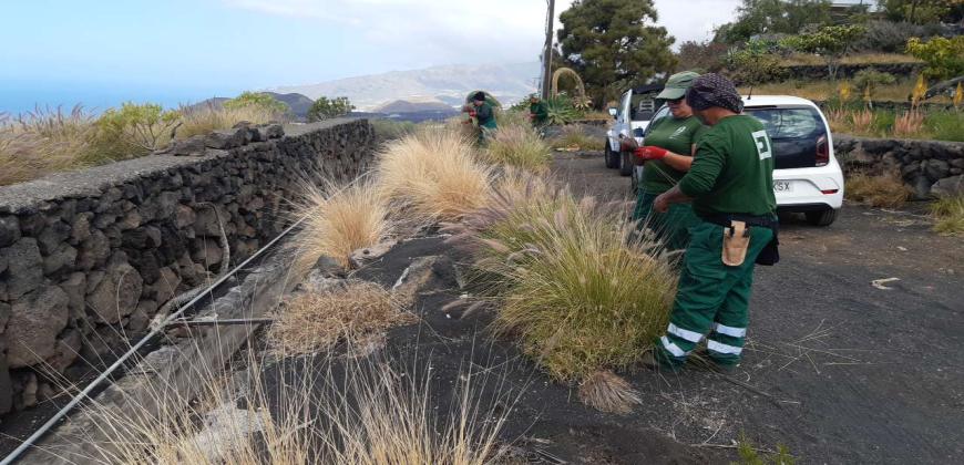 Mejoramos los entornos naturales de La Palma con un plan de empleo social