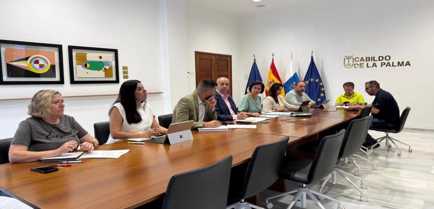 El Cabildo autoriza el regreso a dos nuevas viviendas en la zona negra de Puerto Naos