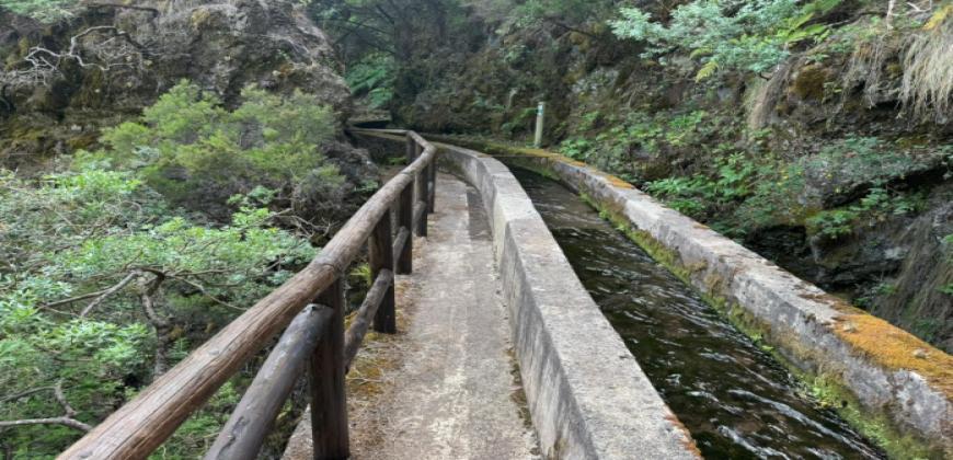 El Cabildo de La Palma reabre parcialmente el sendero de Marcos y Cordero tras concluir los trabajos de mejora y seguridad en la ruta