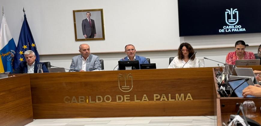 Sesión Plenaria julio 