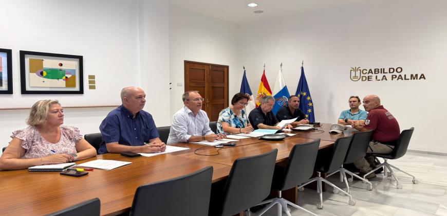 El Cabildo de La Palma autoriza el regreso a siete viviendas, cuatro en Puerto Naos y tres en La Bombilla