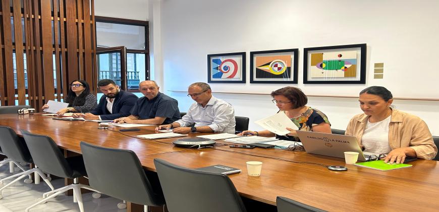 El Cabildo da luz verde a una nueva vivienda y ya supera las 1.250 autorizaciones