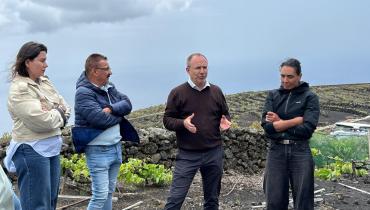 El Cabildo plantea decretar la emergencia cinegética para proteger las parras centenarias de Las Machuqueras, en Fuencaliente