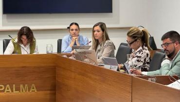El Cabildo de La Palma defiende el rigor técnico y el respeto a la propiedad privada en la gestión del patrimonio cultural