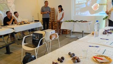 El Cabildo desarrolla a través de Sodepal un proyecto integral de protección y revalorización de la higuera tradicional palmera
